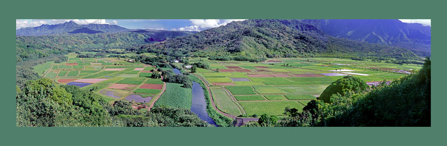 Hanalei Taro Overlook Panorama